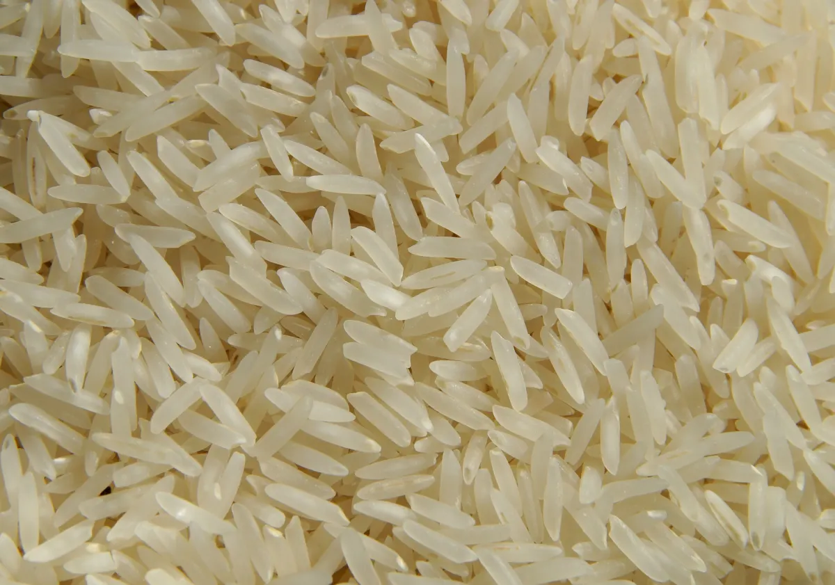 Basmati rýže